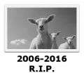 Deadsheep.png